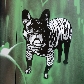 Avatar użytkownika