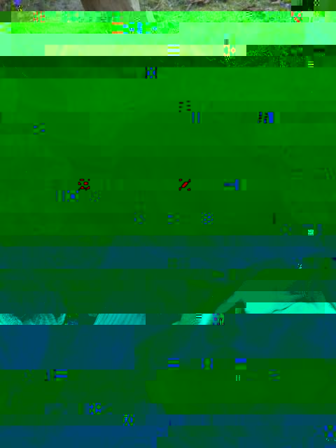 DSC_0789-2.jpg