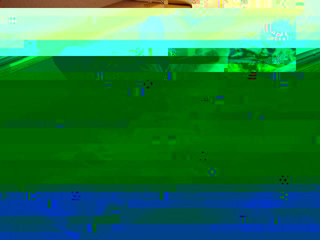 3852795_PC030286.JPG