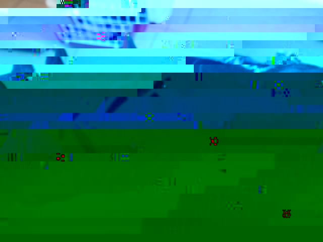 3866157_PC040345.JPG
