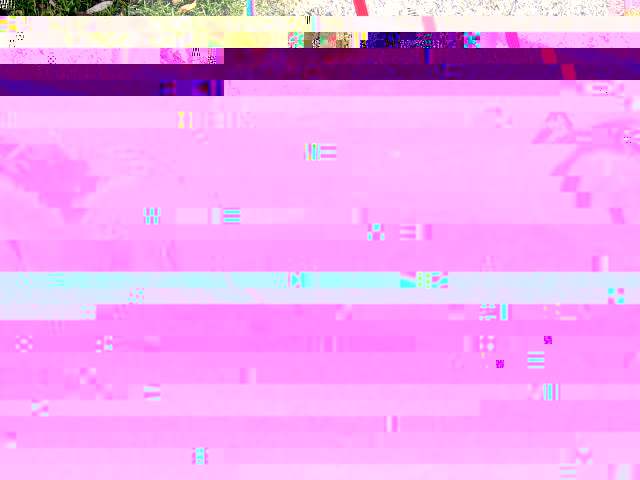 3883819_PC060474.JPG