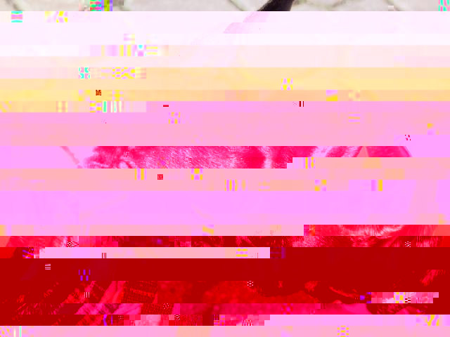 3883807_PC060425.JPG