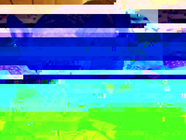 3923871_PC120581.JPG