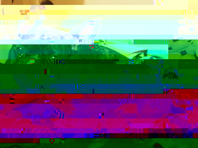 3923872_PC120599.JPG