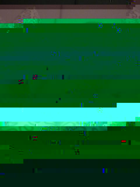 DSC_0827-2.jpg