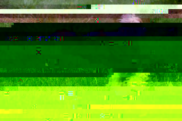 259.JPG