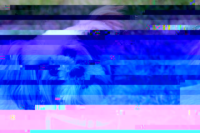 102.JPG