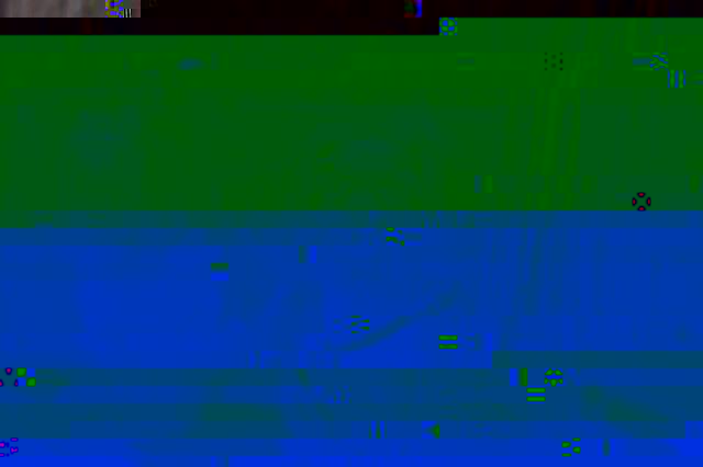 020.JPG