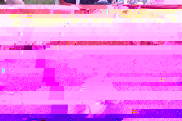 242.JPG