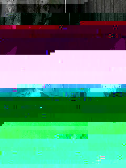 DSC_0073.jpg