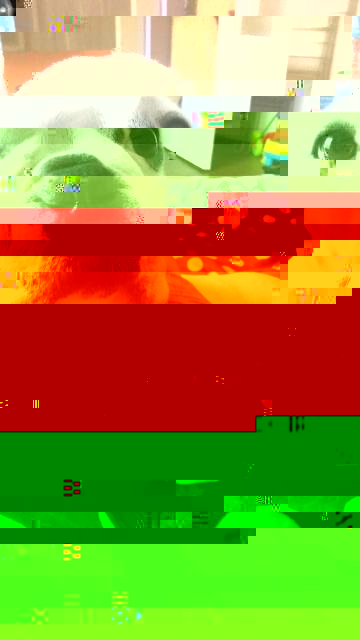 20170909_102129.jpg