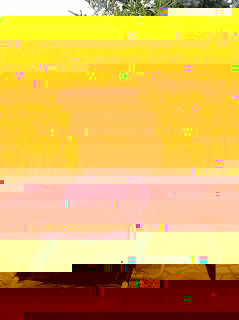 3b.jpg