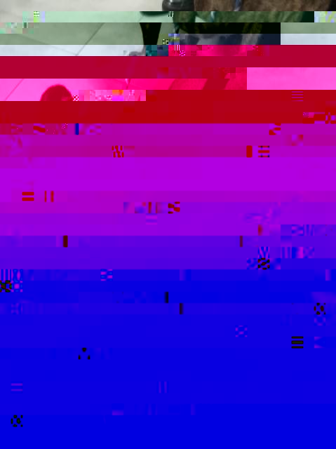 333.jpg