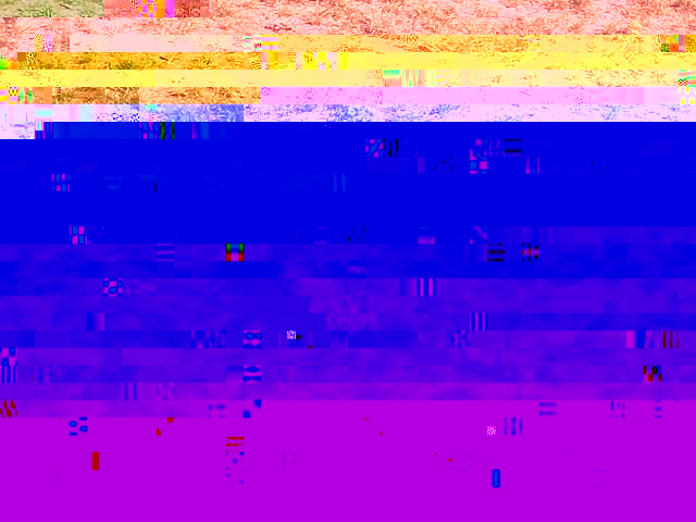 a.jpg