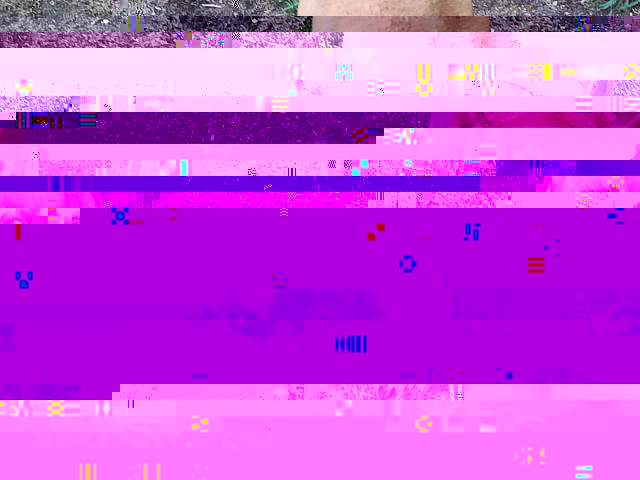 aa.jpg