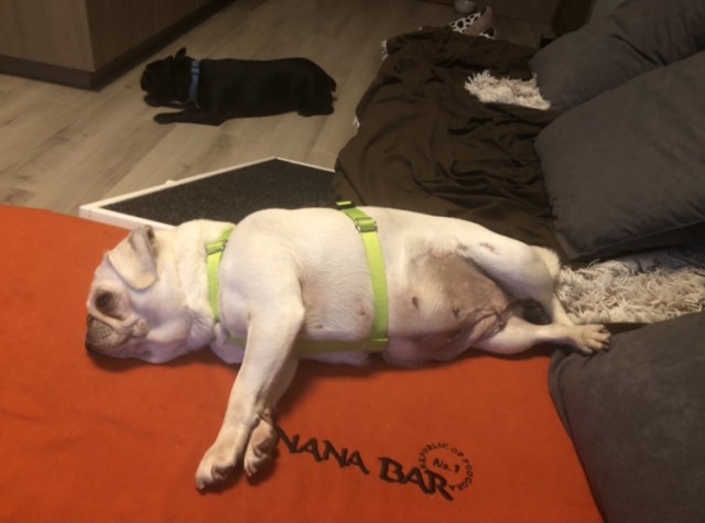 D585CAD0-3092-47D0-9DBF-4C359515C9FF.jpeg