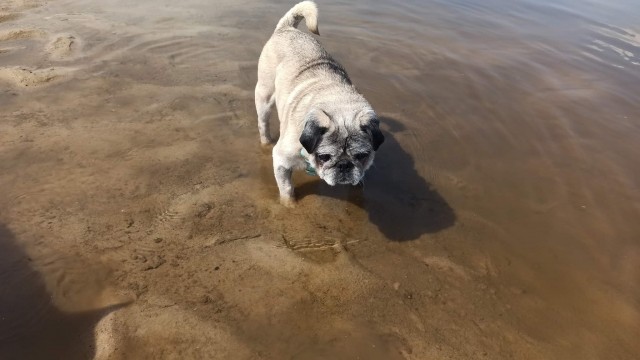 received_546663270410771.jpeg