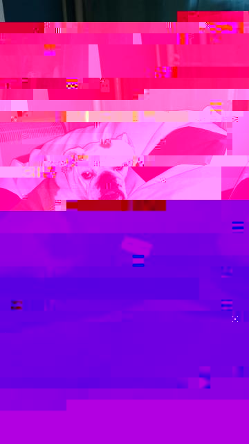 3063732_20150816_122155.jpg